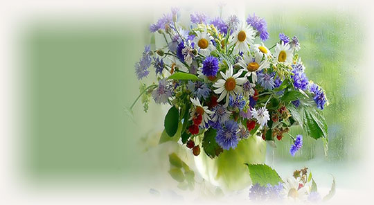 Лита 21 июня
