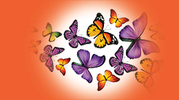 СТАТТІ ОЛЬГИ